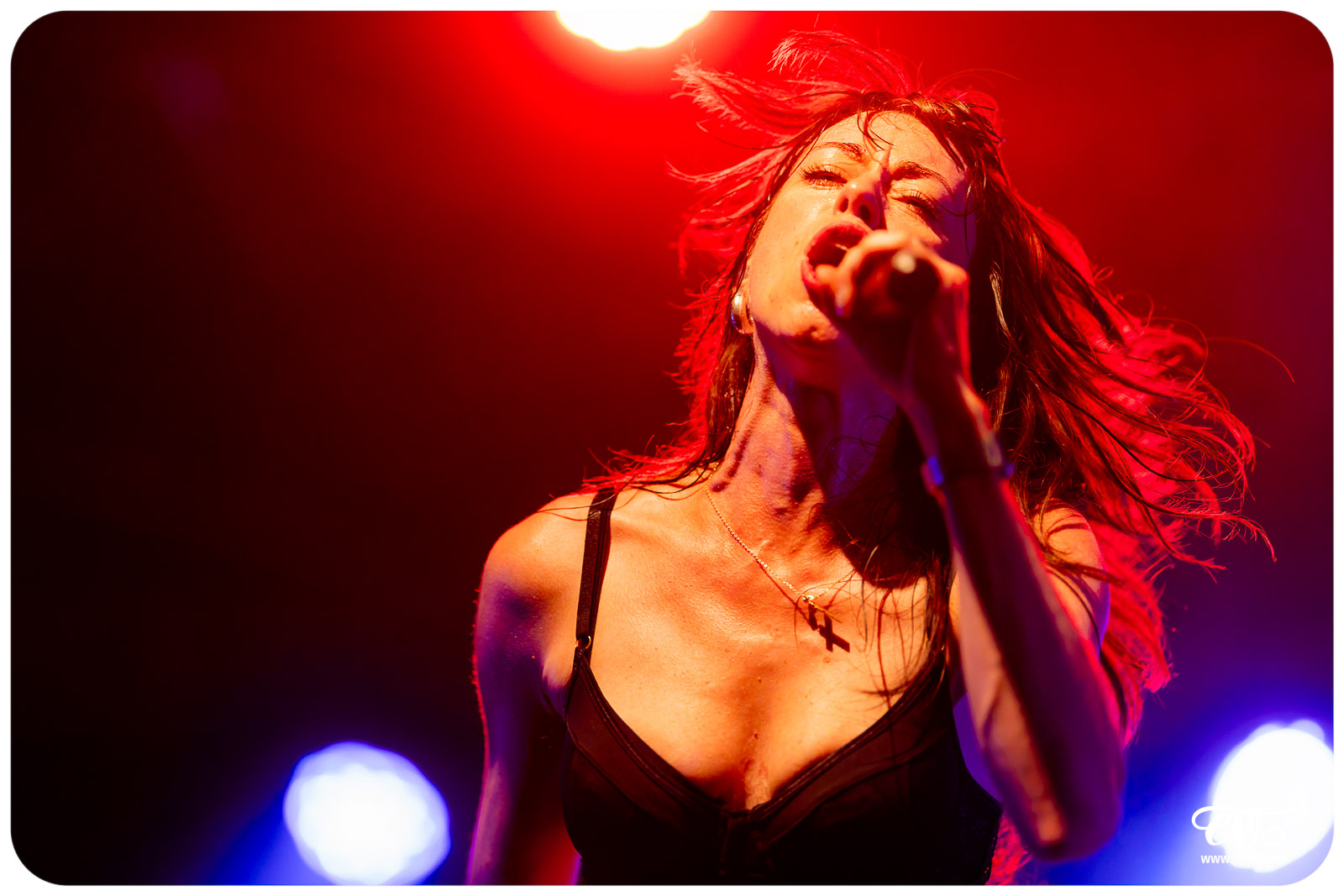REDLIGHT DREAMS